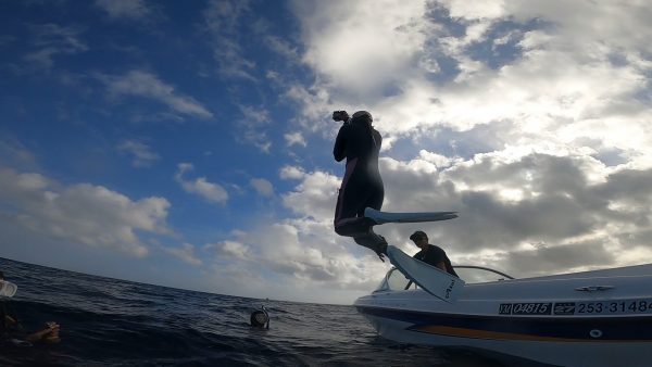 船から海へダイブ