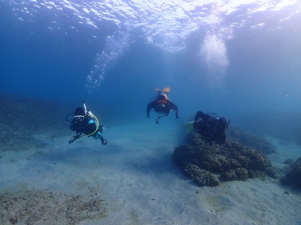 海の中で泳ぐダイバー