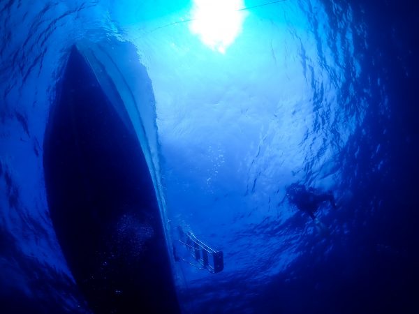 海底から見上げる船の底