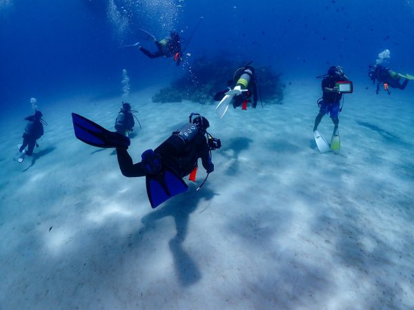 奄美大島の水中