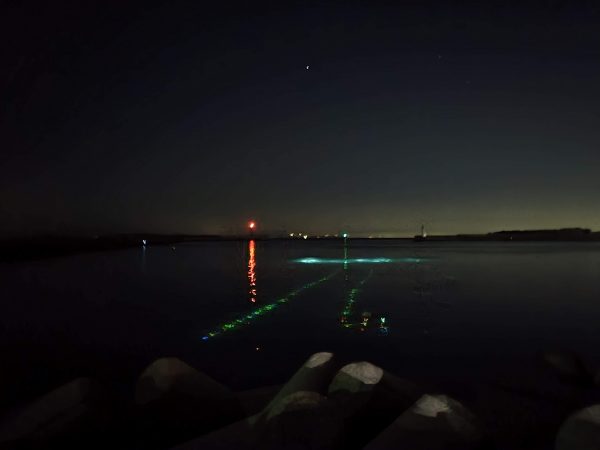 海中からライトアップされた夜の海を陸から撮っている写真。