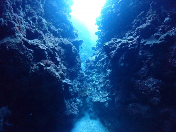海の地形