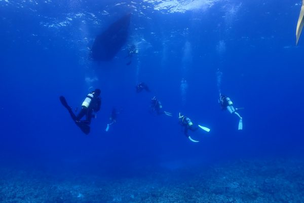 与論島で潜る