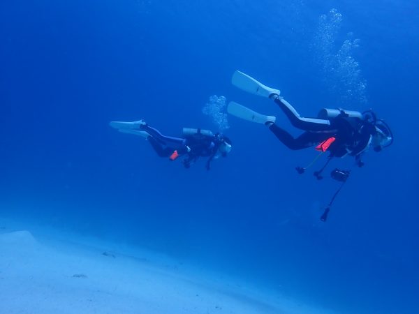 適正ウエイトで海中を泳ぐ2人のダイバーの写真