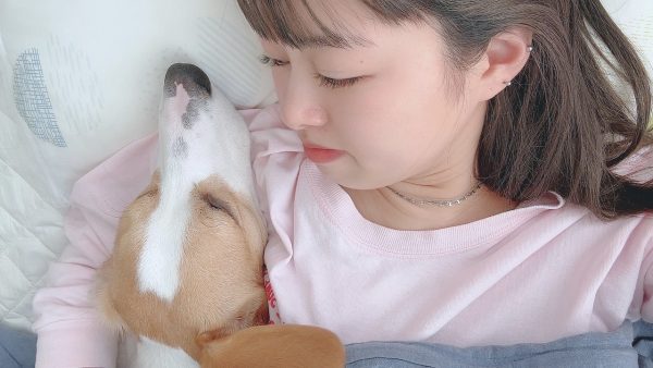 犬と女性