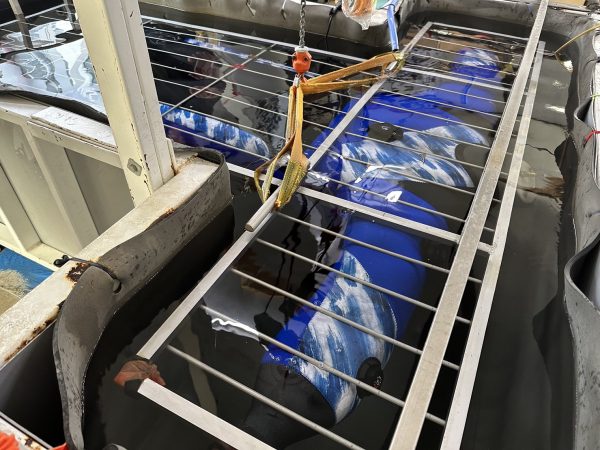 水没検査