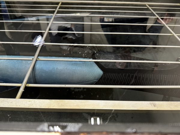 水没個所