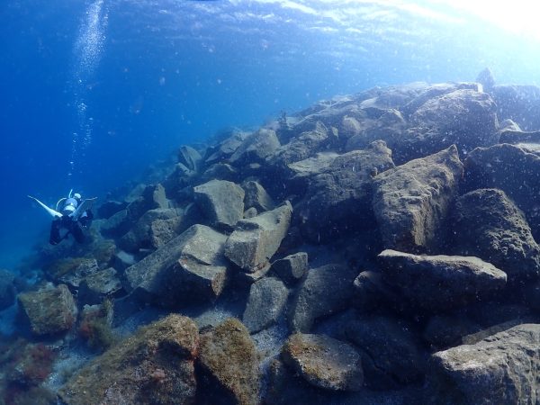 大瀬崎の海