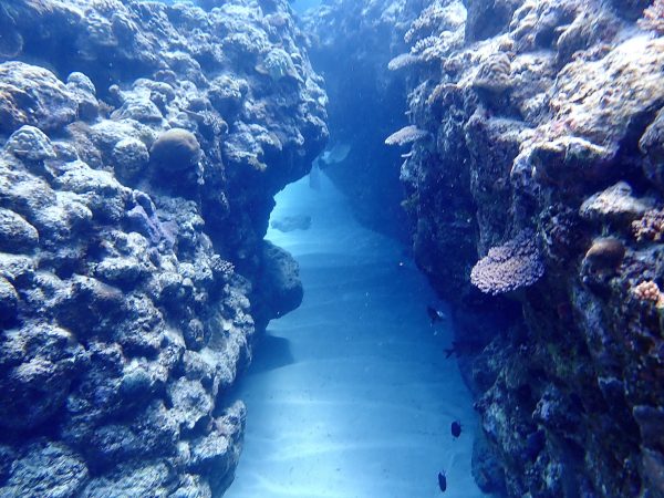 沖縄の海