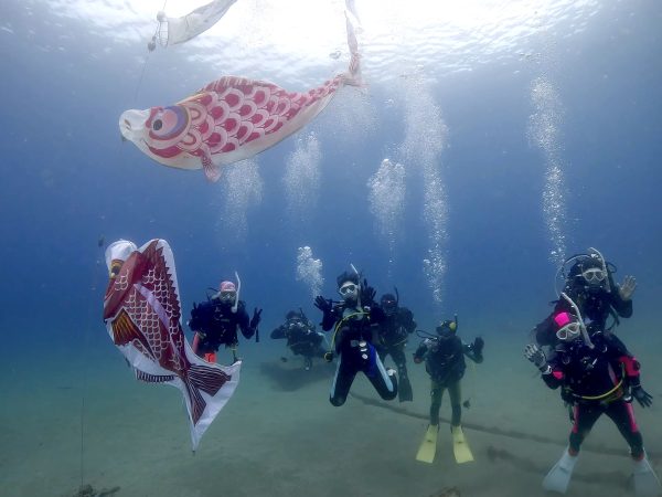 マクロからワイドな生き物まで！ビギナーの方におすすめなダイビングスポット！安良里について徹底解説