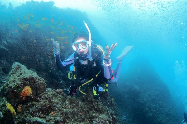 海の中のダイバー