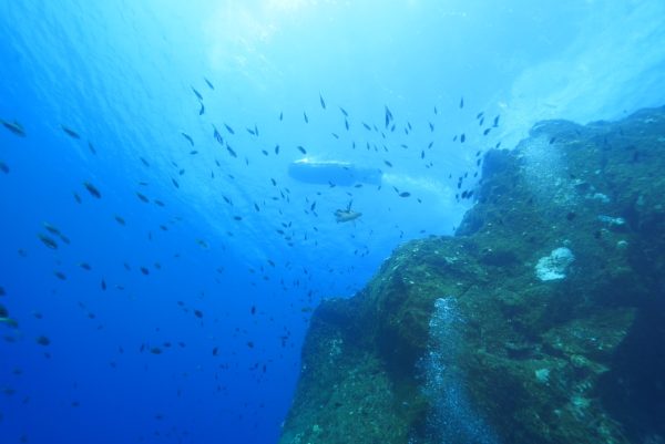綺麗な海
