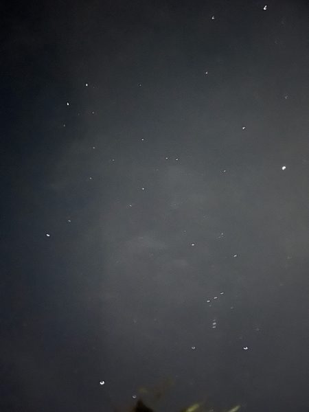 冬の星空