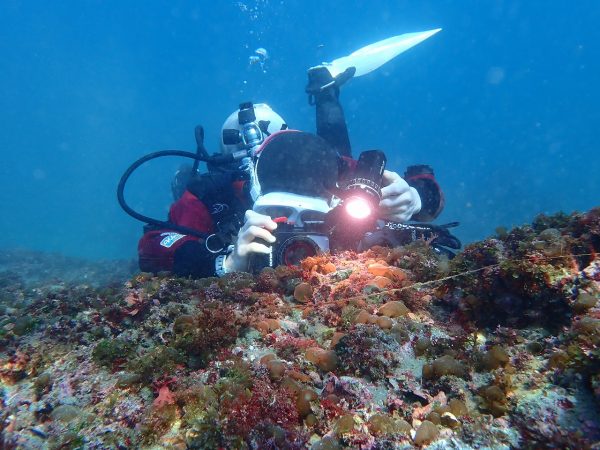 魚を撮るダイバー