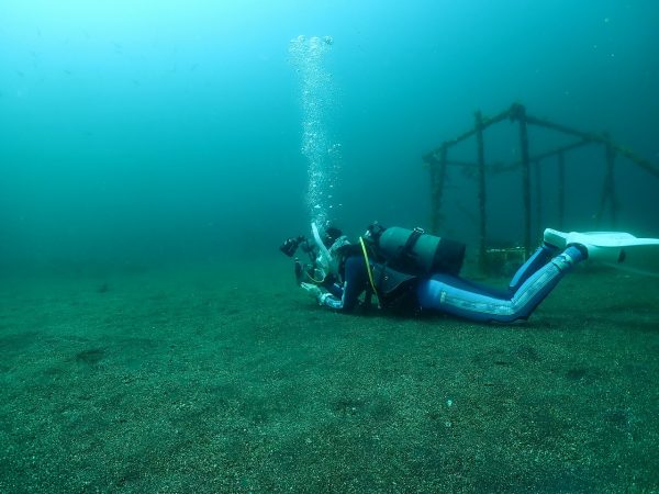 魚を撮ろうとするダイバー