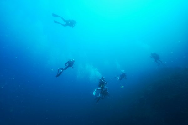 水中のダイバー